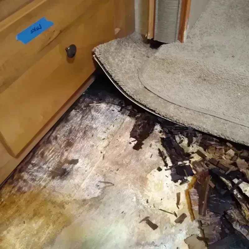 Wood Floor Water Damage in Sparks, NV